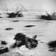 Illustration for article titled 27 Photos You Need To See On The 70th Anniversary Of D-Day